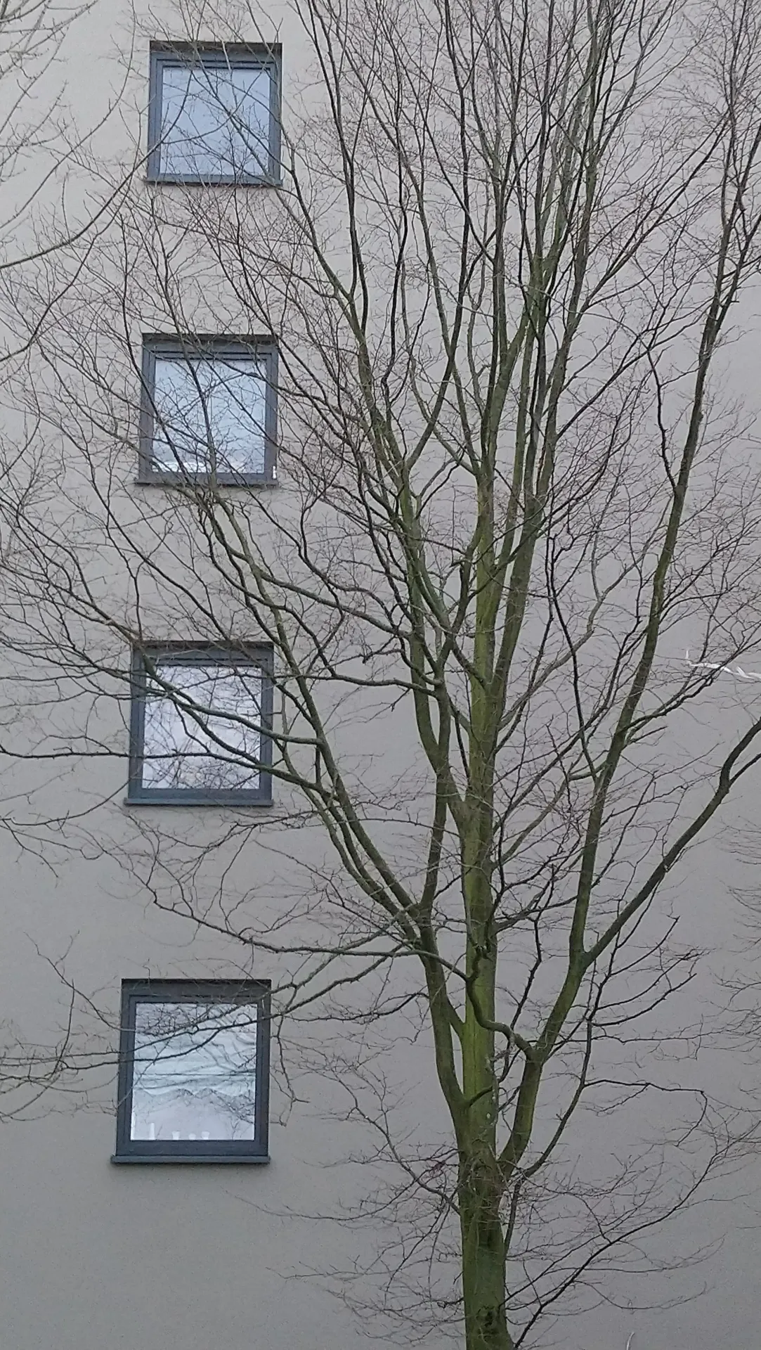 DSC_0007
