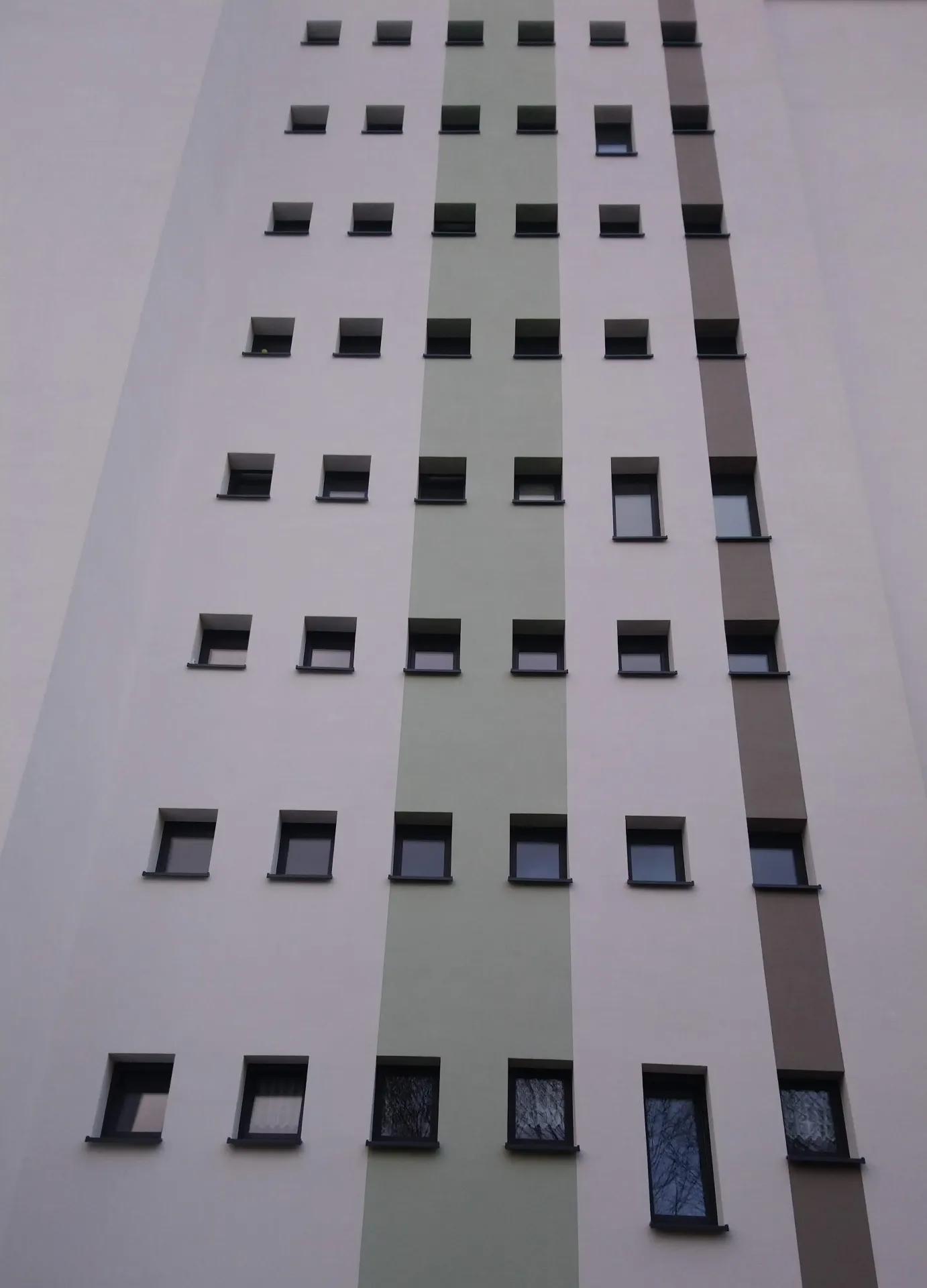 DSC_0010