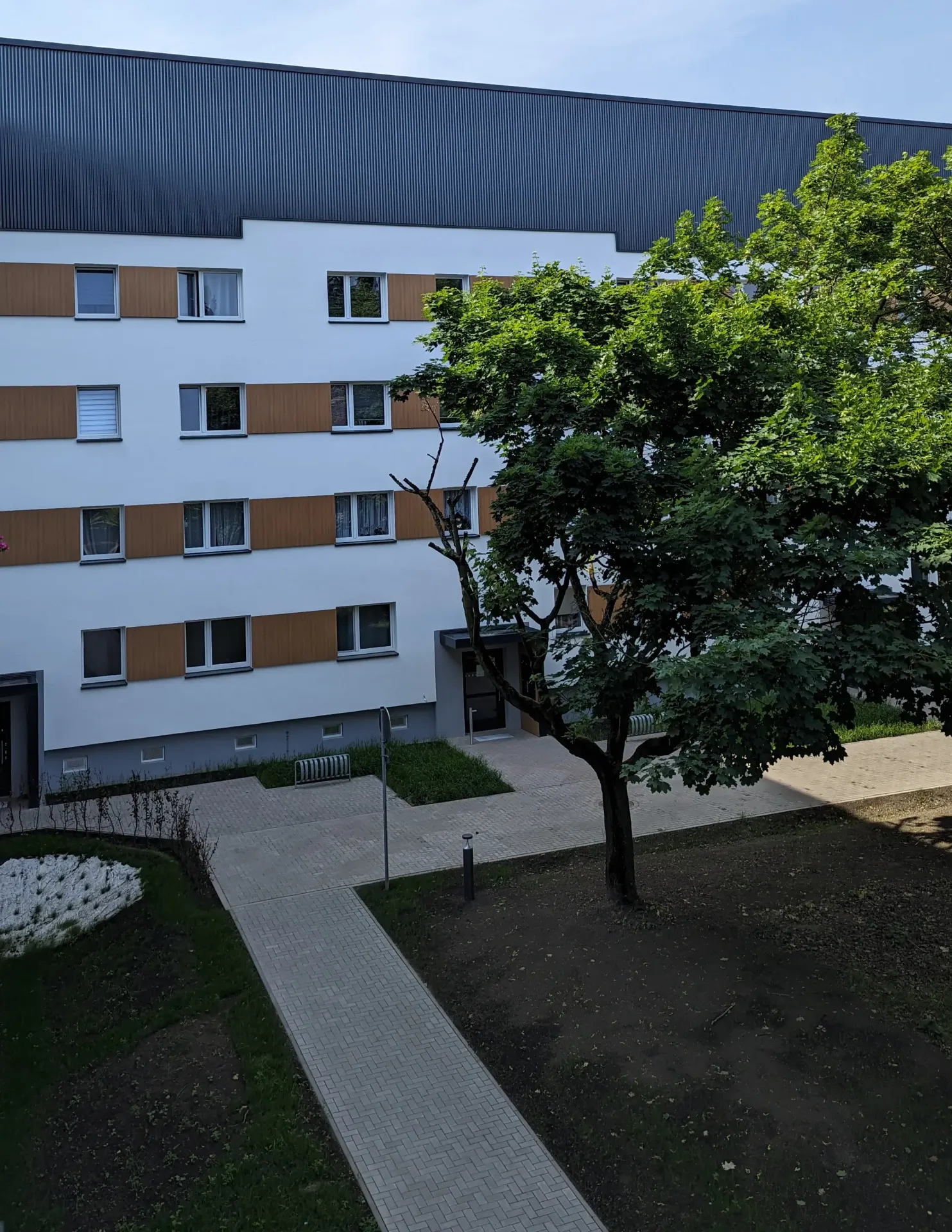PXL_20240524_075525448
