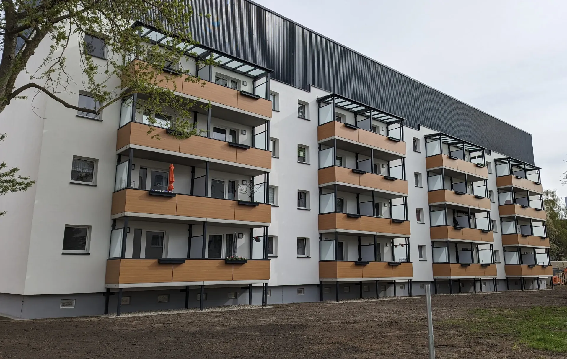 PXL_20240410_081039109