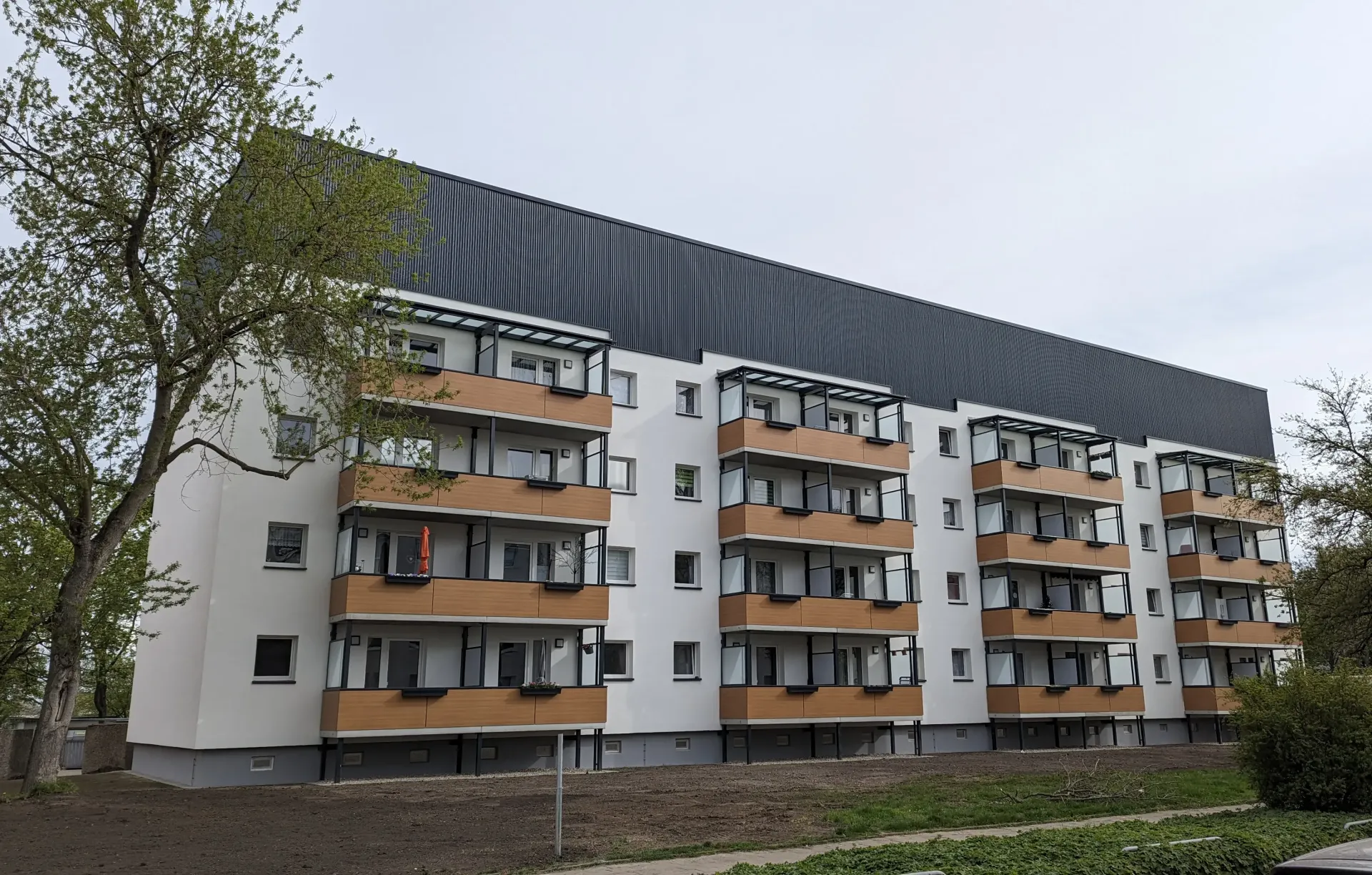 PXL_20240410_081051493